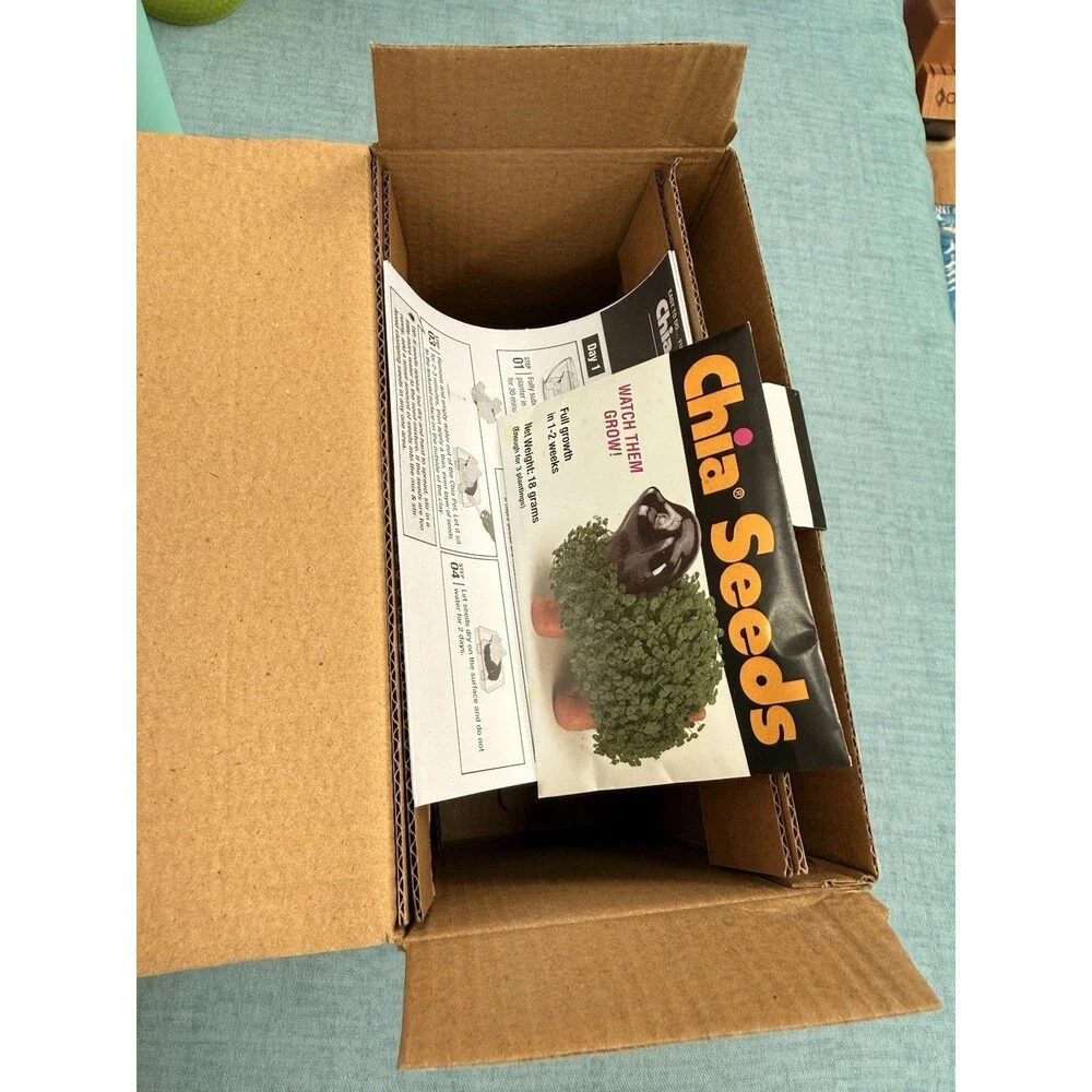 Chia Pet Hedgehog Decorative Pottery Planter with Seed Pack, Terra Cotta, NEW